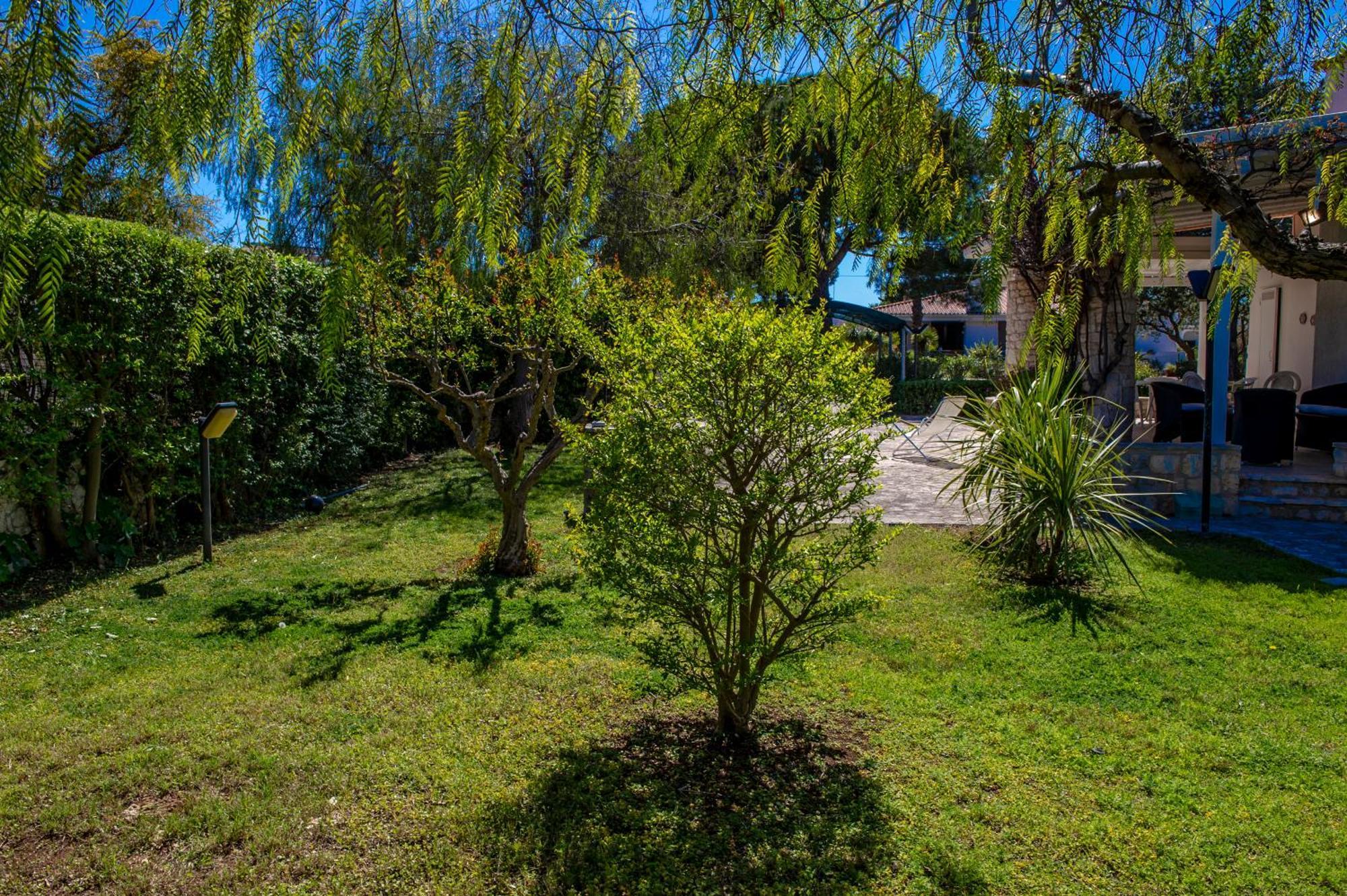 Bouganvilla Polignano a Mare Esterno foto